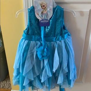 Disney Princess Elsa Dress